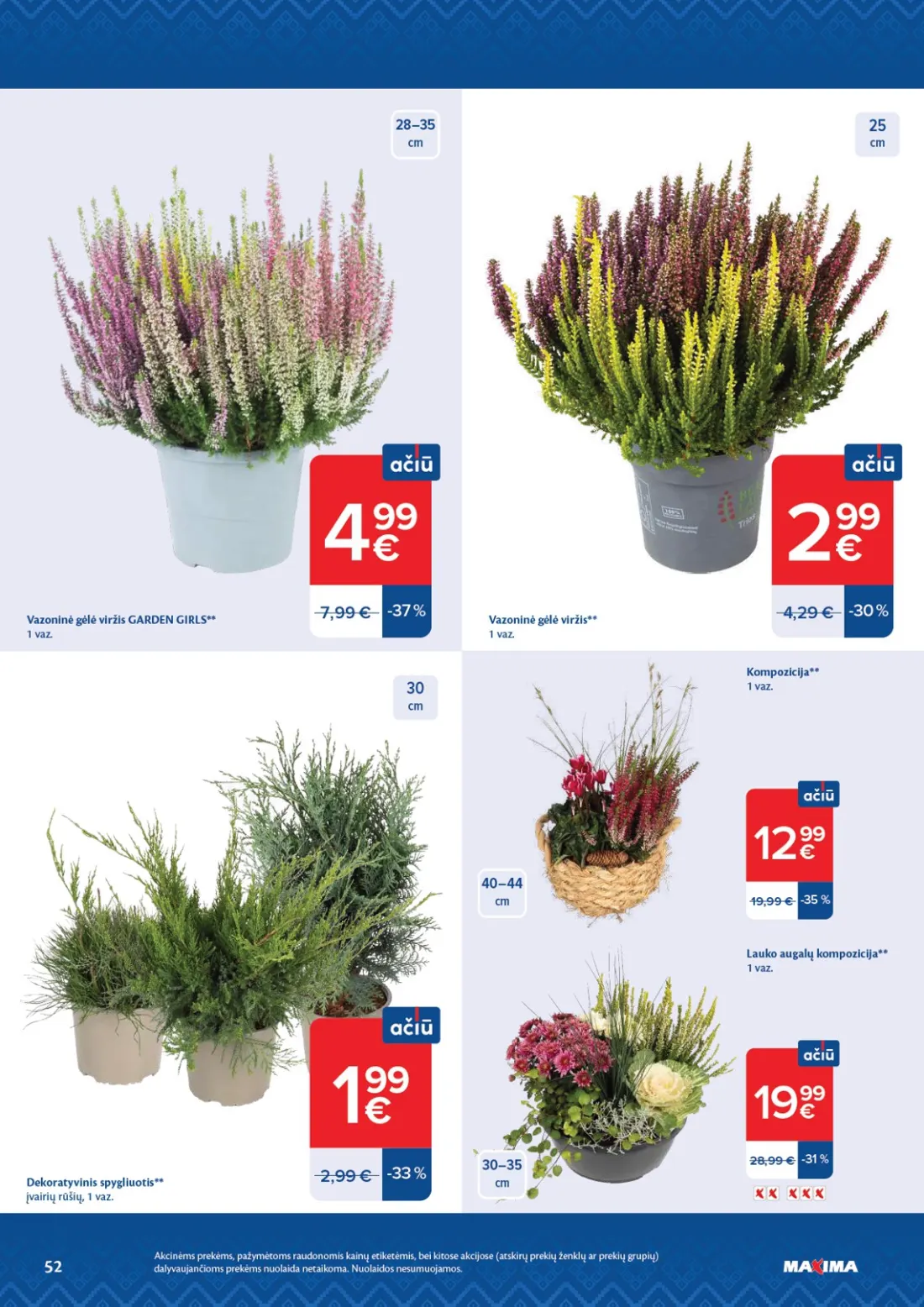 MAXIMA AČIŪ savaitinis leidinys Nr. 44, 52 psl.: Vazoninė gėlė viržis GARDEN GIRLS vaz Kompozicija Lauko augalų Dekoratyvinis spygliuotis įvairių rūšių Akcinė…